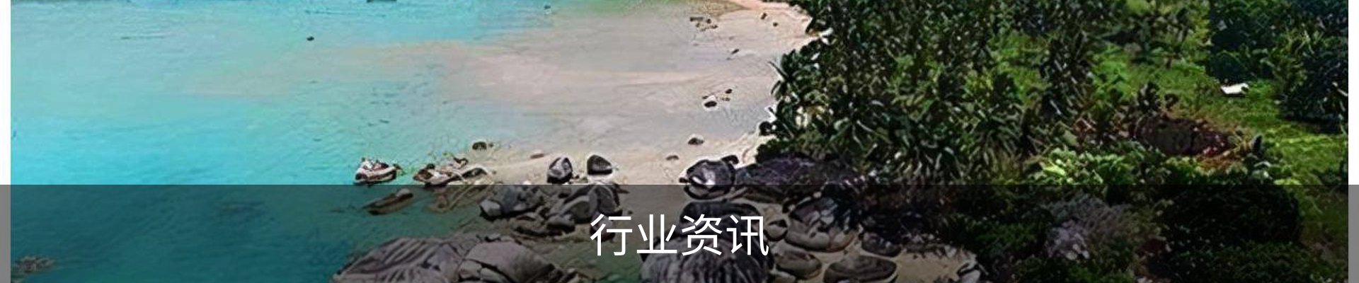 行业资讯